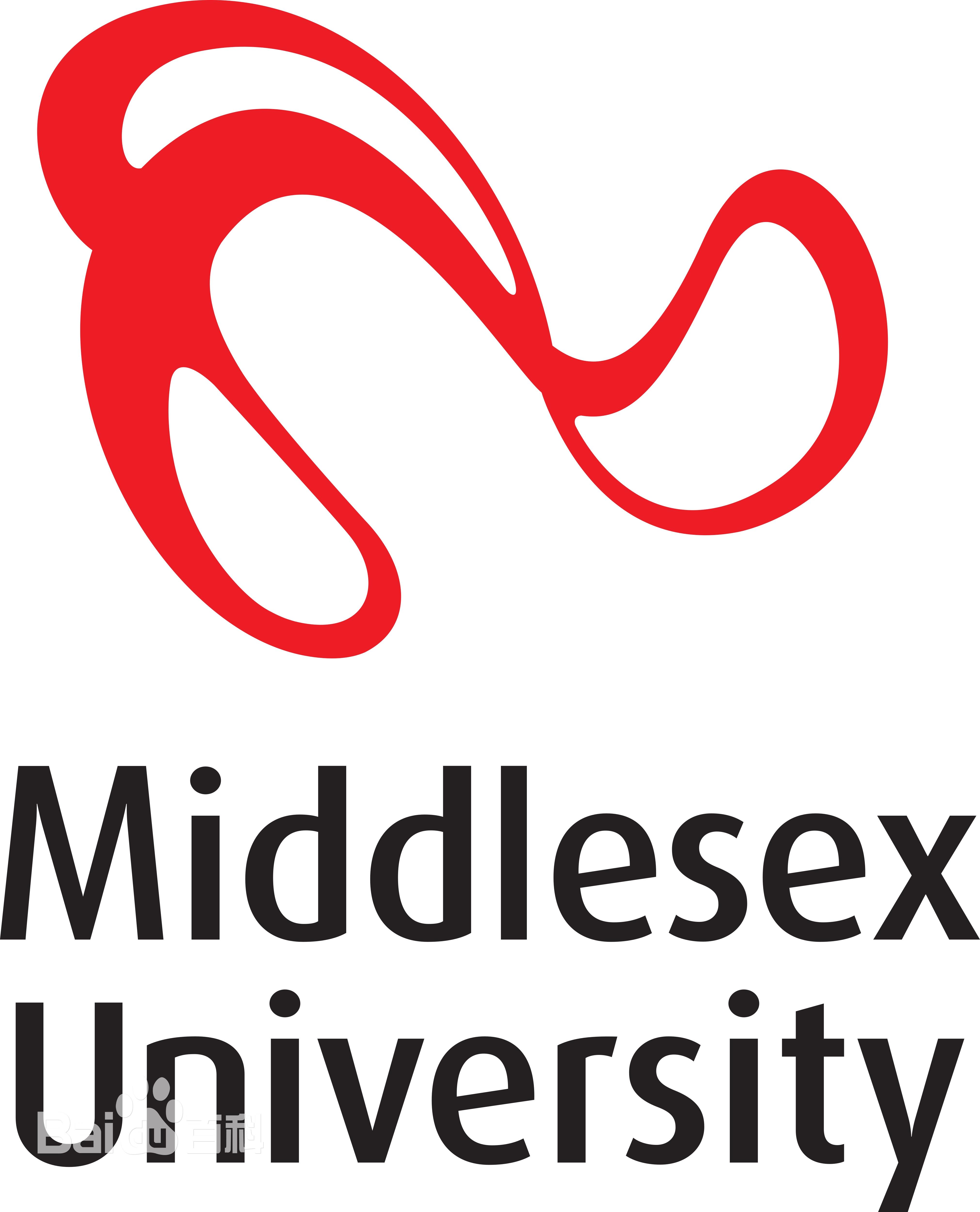 英国密德萨斯大学