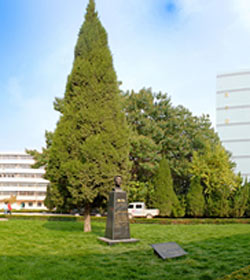 Lanzhou University Of Arts And Science学校图片