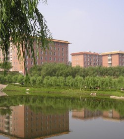Zhengzhou University学校图片