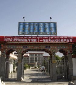 Tibetan Traditional Medical College学校图片