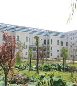 Wuhan College学校图片