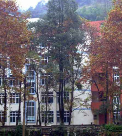 Chongqing Vocational College Of Applied Technology学校图片