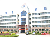 Hebei Foreign Studies University学校图片