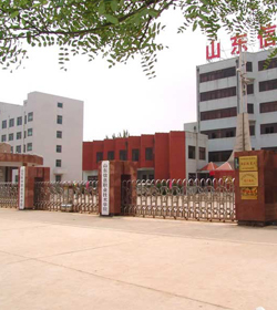 Shandong College Of Information Technology学校图片