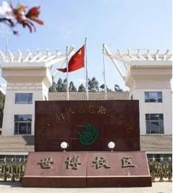 Yunnan Institute Of Technology And Information学校图片