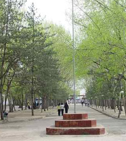 Inner Mongolia Fengzhou Vocational College学校图片