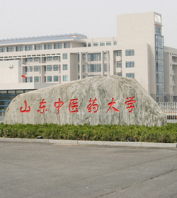 Shandong University Of Traditional Chinese Medicine学校图片