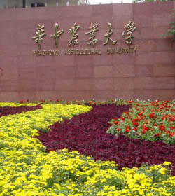 Huazhong Agricultural University学校图片